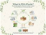 Is Pha a Plastic? | Contextresponse. Com