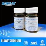 Is Polyamine a Polymer?