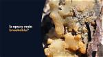 Is Polyresin Breakable