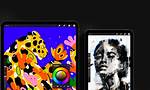 Is Procreate on Windows?