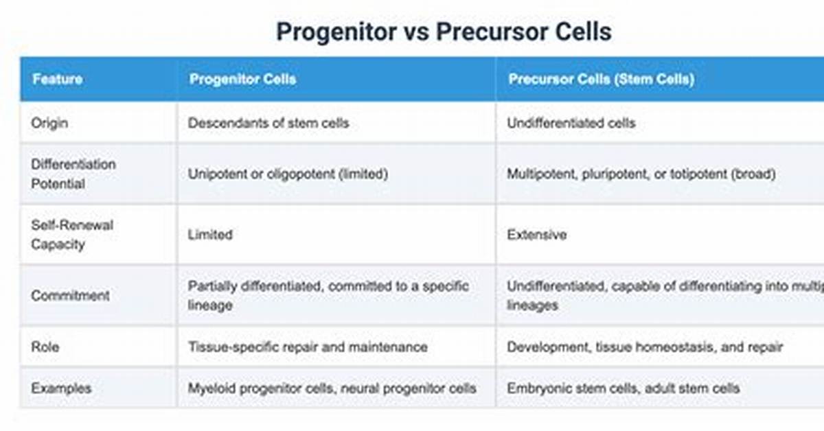 Is Progenitor Same as Precursor?