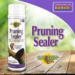 Is Pruning Sealer Necessary?
