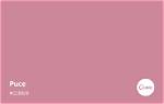 Is Puce a Colour