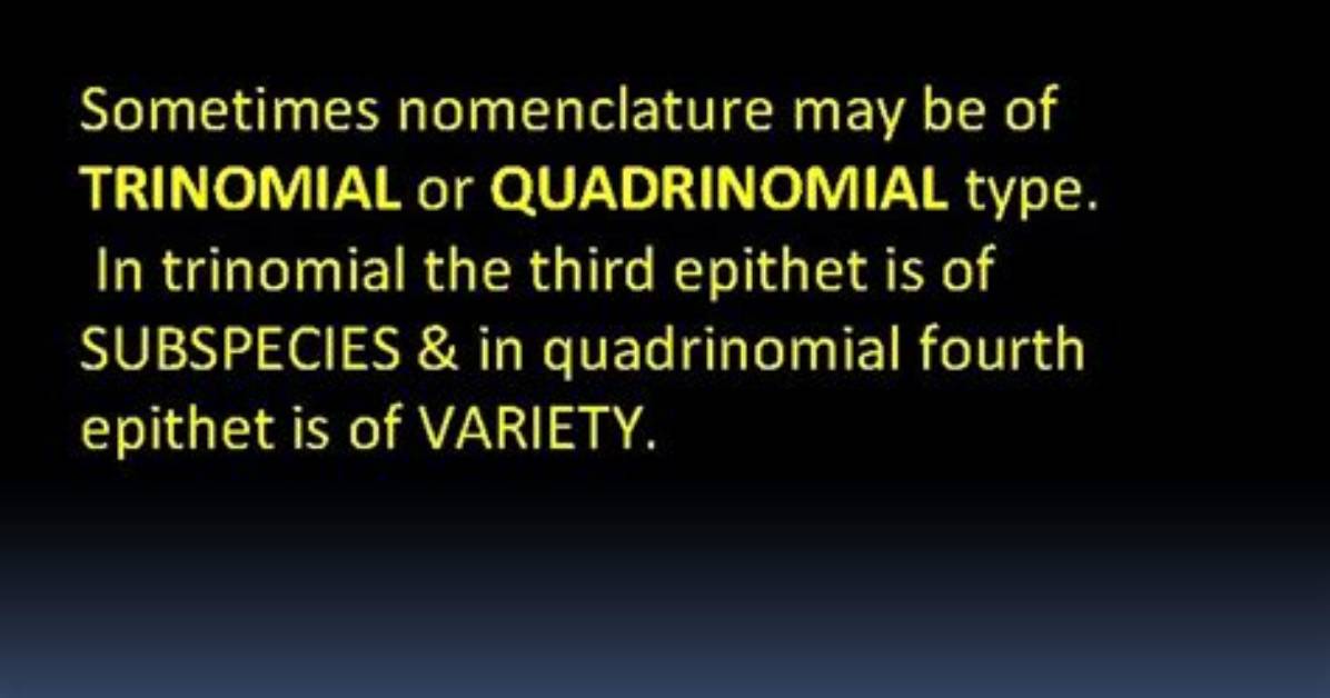 Is Quadrinomial a Word?