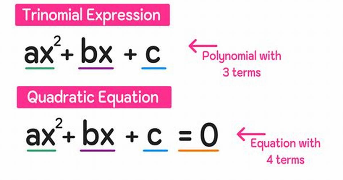 Is Quadrinomial Same as Polynomial?