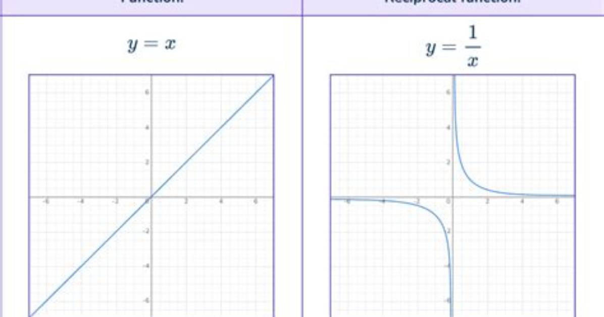 Is Reciprocal Function a Bijection?