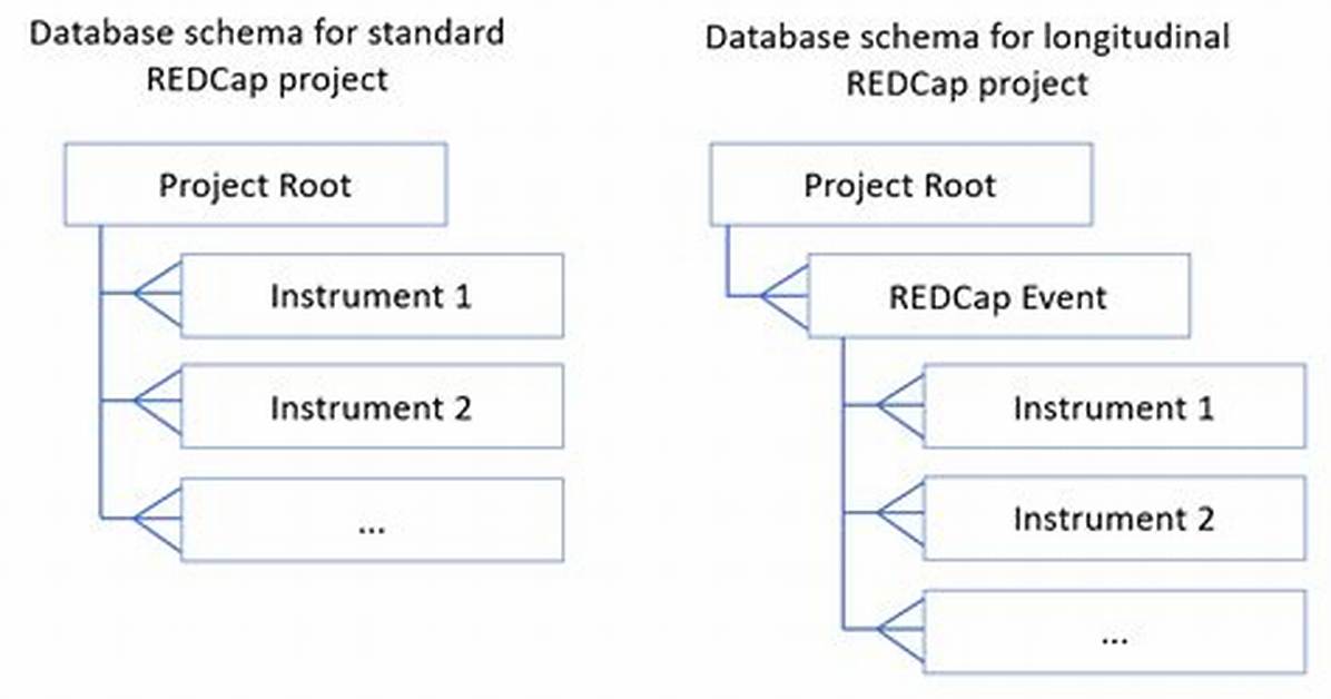 Is Redcap a Relational Database?