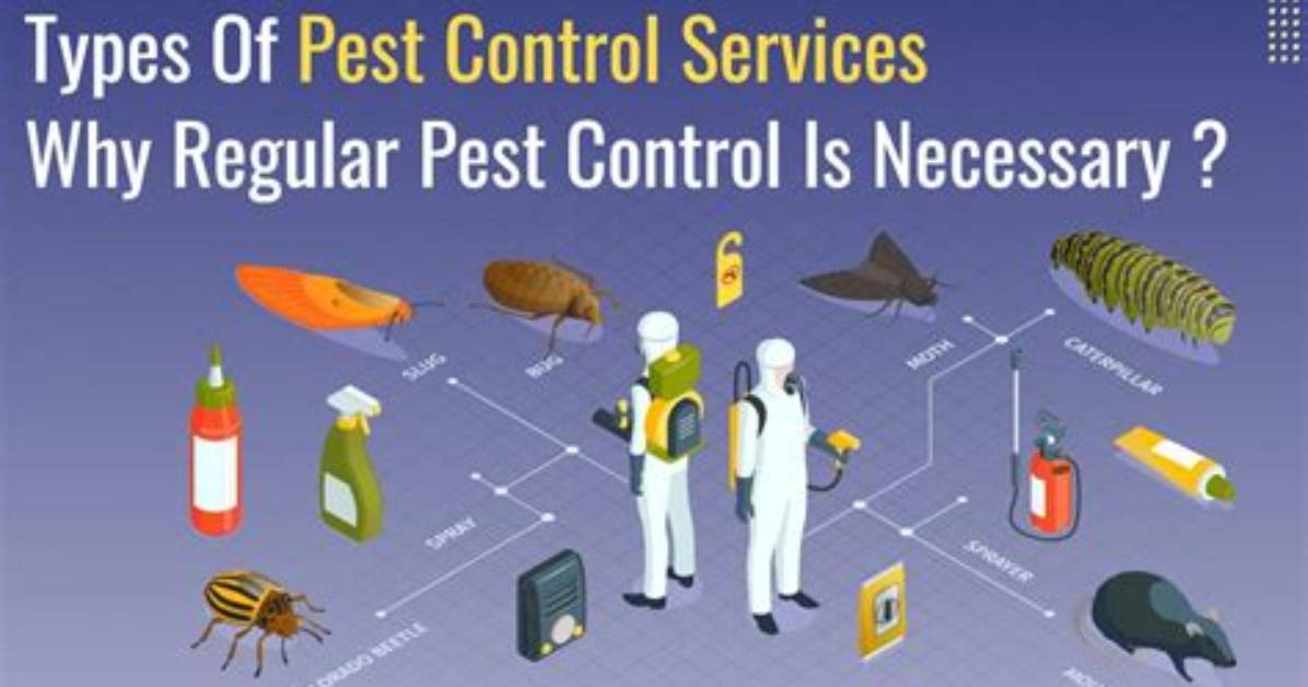 Is Regular Pest Control Necessary