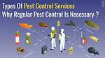 Is Regular Pest Control Necessary