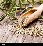 Is Rosemary Mentioned in the Bible?