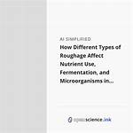 Is Roughage a Nutrient
