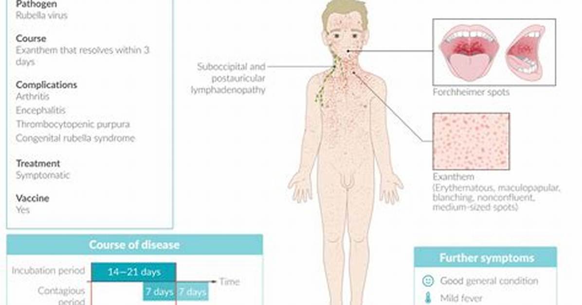 Is Rubella Segmented
