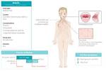 Is Rubella Segmented