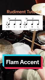 Is Rudiment Same as Element?