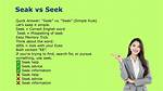 Is Seek for Correct?