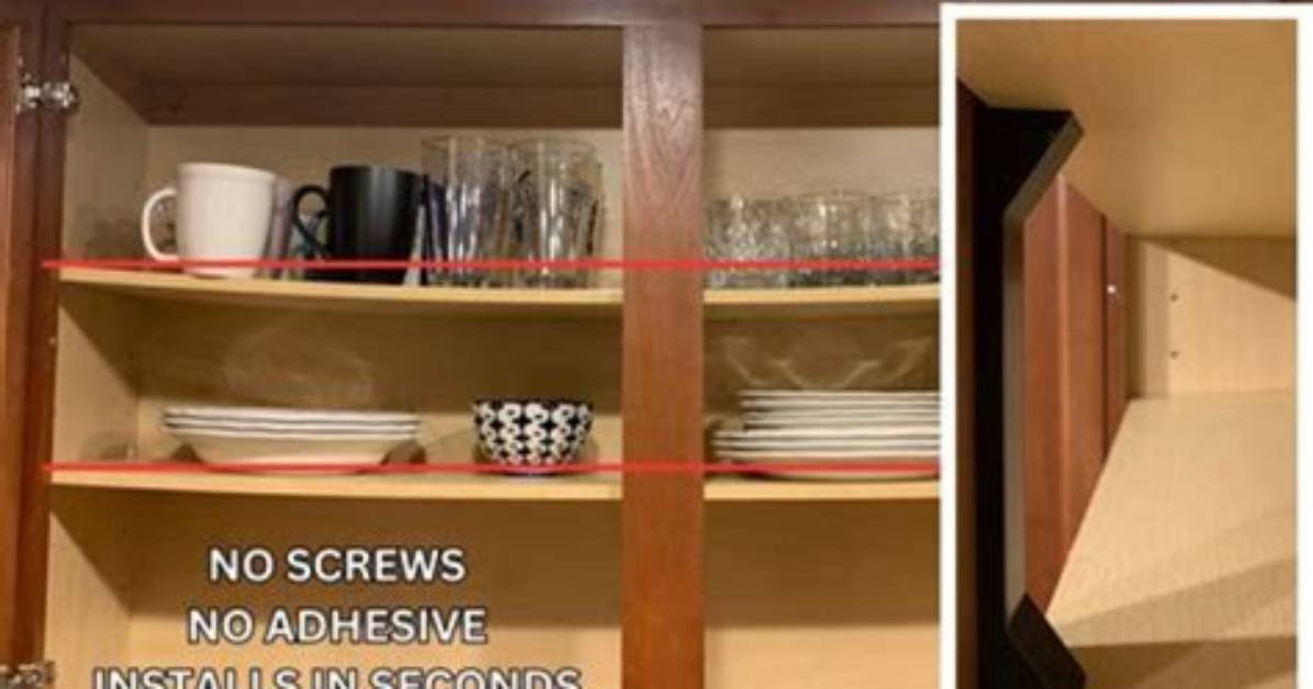 Is Shelf Lining Necessary