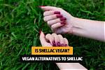 Is Shellac Vegan Friendly?
