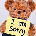 Is Sorry For