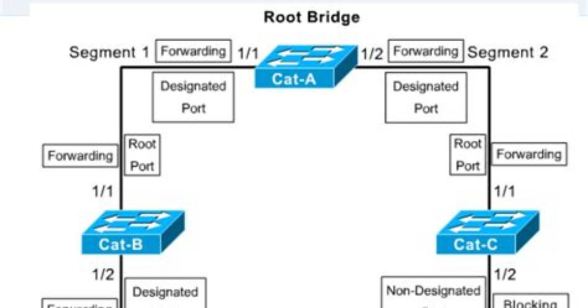Is Spanning Tree Enabled by Default