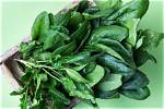 Is Spinach a Vegetable?