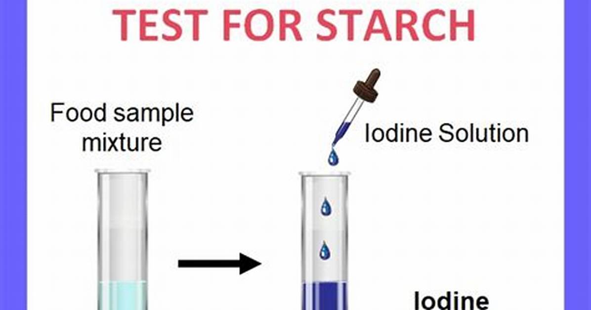 Is Starch Solution a Solution?