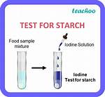 Is Starch Solution a Solution?