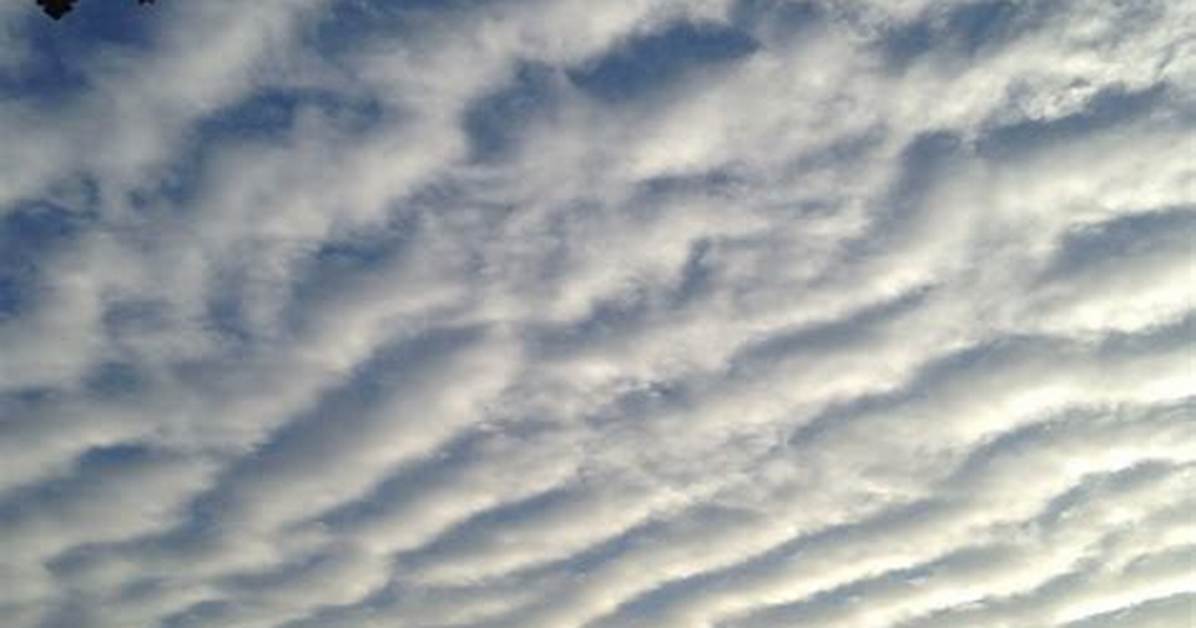 Is Stratocumulus a Cloud?
