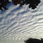 Is Stratocumulus a Cloud?