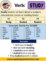 Is Study a Verb