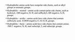 Is Sulfhydryl Acidic or Basic?