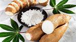 Is Tapioca from Cassava?