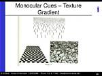 Is Texture Gradient a Monocular Cue?