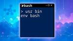 Is the Same '#! /Usr/Bin/Env Bash' Than #! /Bin/Bash [Duplicate]