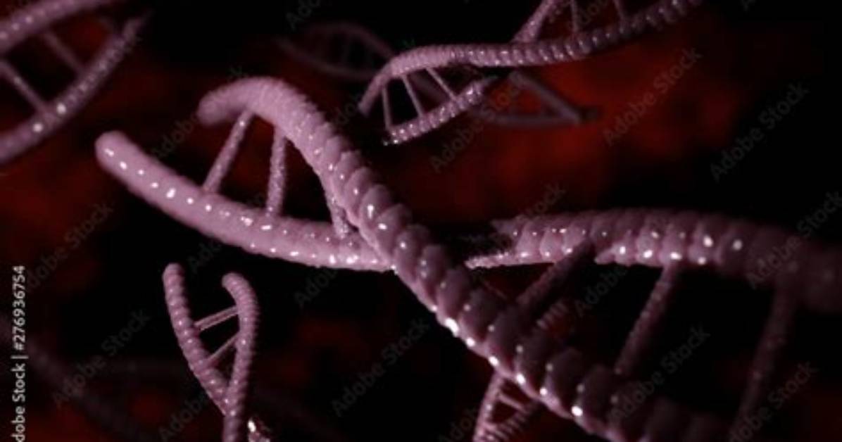 Is the Self Replicating Material Present?