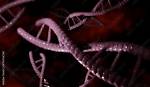 Is the Self Replicating Material Present?