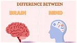 Is There a Difference Between a Brain Bleed and a Stroke