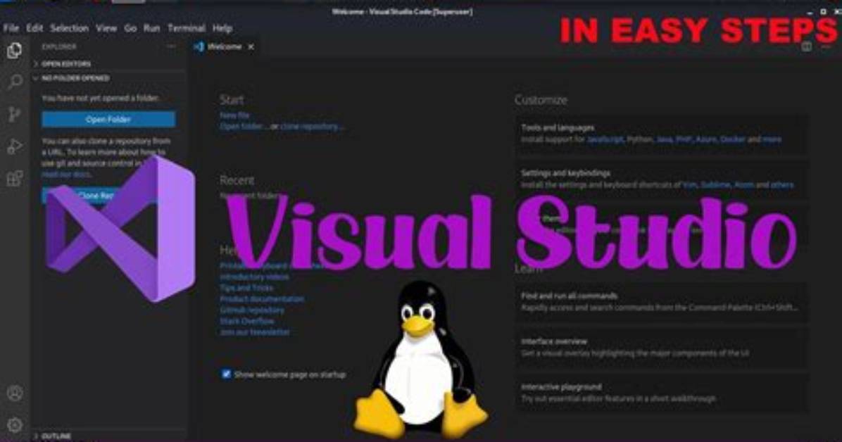 Is There a Visual Studio for Linux?