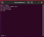 Is There an Undo Command in Linux?
