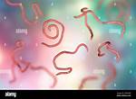 Is Threadworm a Parasite?