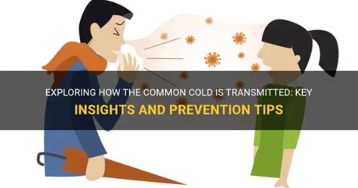 Is Transmitted Common Cold?