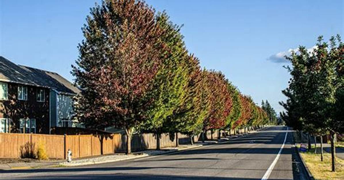 Is Tree Lined Hyphenated?