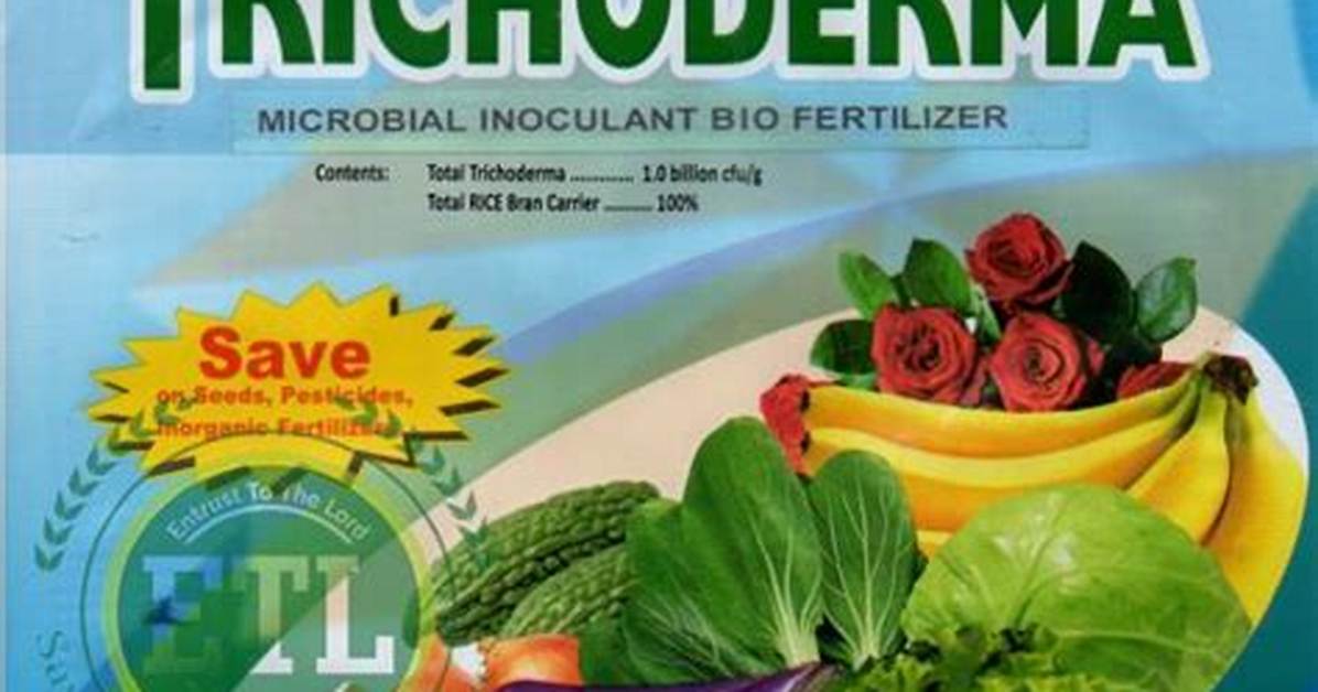 Is Trichoderma a Biofertilizer?