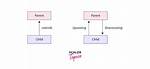 Is Upcasting Possible in Java?