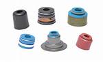 Is Valve Stem Seals?