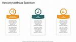 Is Vancomycin Broad Spectrum?