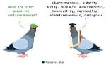 Is Venturesomeness a Word?
