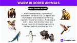 Is Warm Blooded Animals?