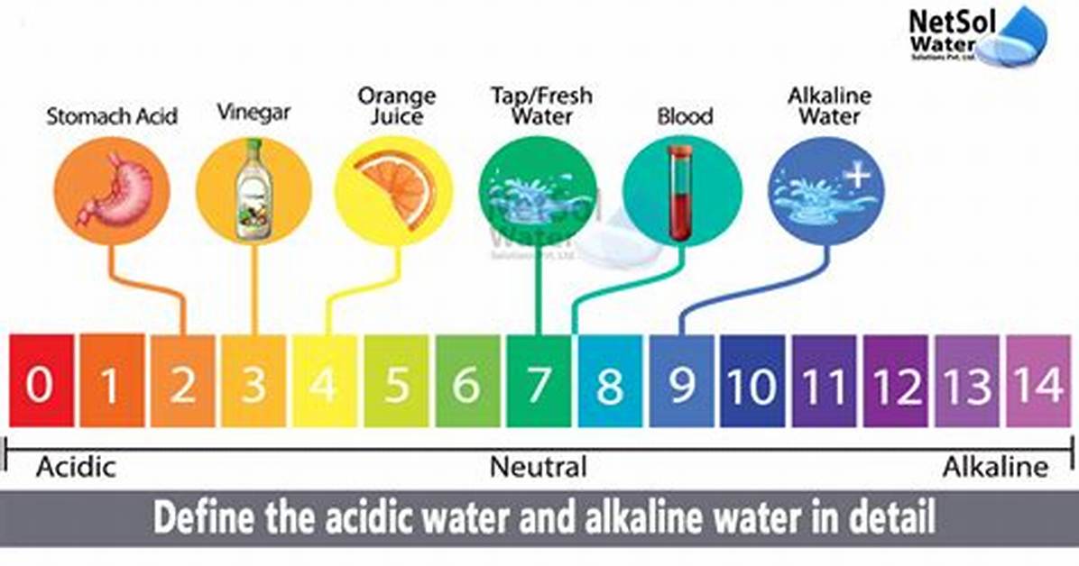 Is Water Acidic or Basic