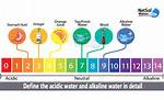Is Water Acidic or Basic