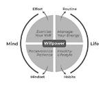 Is Willpower a Skill?